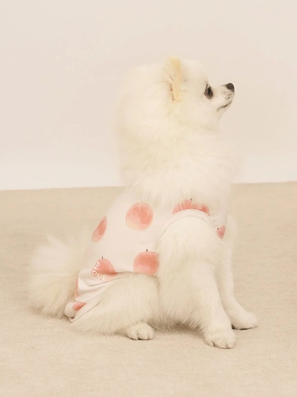 gelato pique（ジェラートピケ）【CAT&DOG】【販路限定商品】】【接触冷感】フルーツ柄プルオーバー｜全3色
