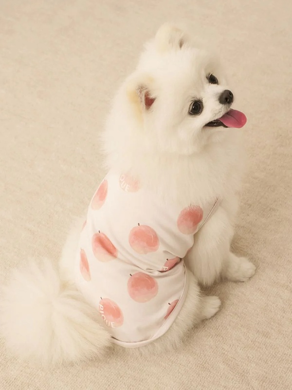 gelato pique（ジェラートピケ）【CAT&DOG】【販路限定商品】】【接触冷感】フルーツ柄プルオーバー｜全3色