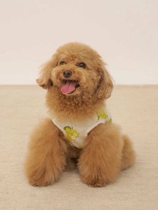 gelato pique（ジェラートピケ）【CAT&DOG】【販路限定商品】】【接触冷感】フルーツ柄プルオーバー｜全3色