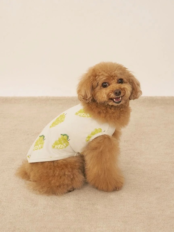 gelato pique（ジェラートピケ）【CAT&DOG】【販路限定商品】】【接触冷感】フルーツ柄プルオーバー｜全3色