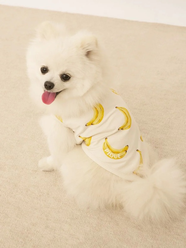 gelato pique（ジェラートピケ）【CAT&DOG】【販路限定商品】】【接触冷感】フルーツ柄プルオーバー｜全3色