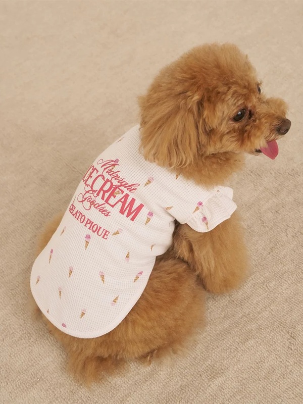 gelato pique（ジェラートピケ）【CAT&DOG】【販路限定商品】【接触冷感】アイス柄フリルワッフルプルオーバー｜全2色