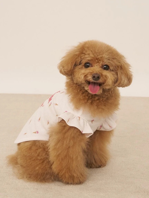 gelato pique（ジェラートピケ）【CAT&DOG】【販路限定商品】【接触冷感】アイス柄フリルワッフルプルオーバー｜全2色