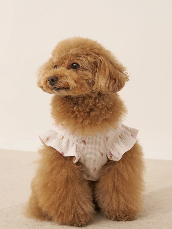 gelato pique（ジェラートピケ）【CAT&DOG】【販路限定商品】【接触冷感】アイス柄フリルワッフルプルオーバー｜全2色