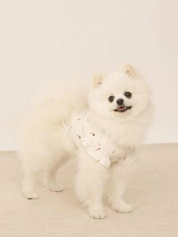gelato pique（ジェラートピケ）【CAT&DOG】【販路限定商品】【接触冷感】アイス柄フリルワッフルプルオーバー｜全2色