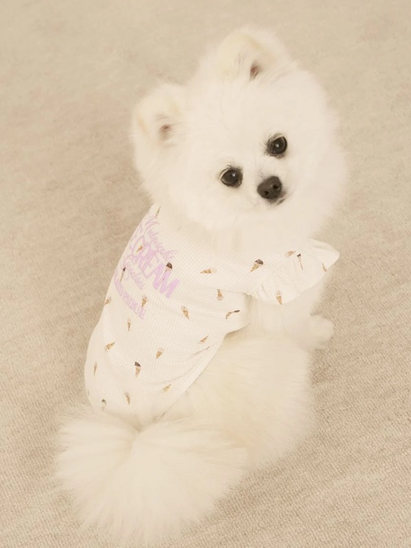 gelato pique（ジェラートピケ）【CAT&DOG】【販路限定商品】【接触冷感】アイス柄フリルワッフルプルオーバー｜全2色