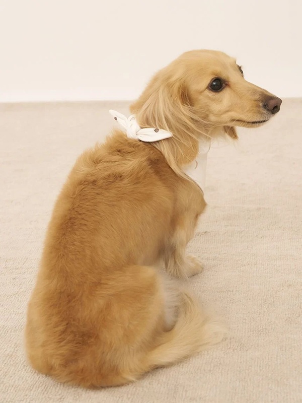 gelato pique（ジェラートピケ）【CAT&DOG】【販路限定商品】アイス柄保冷剤入れバンダナ｜全2色