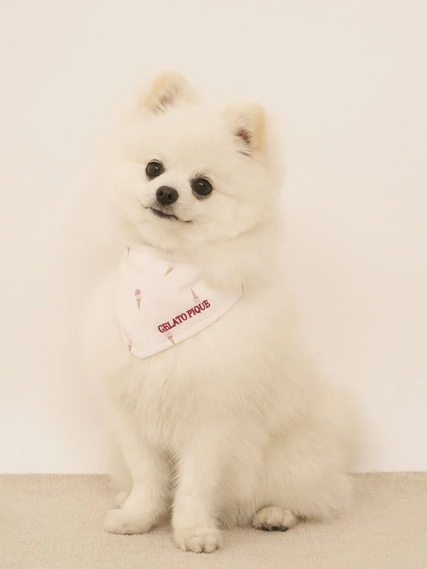 gelato pique（ジェラートピケ）【CAT&DOG】【販路限定商品】アイス柄保冷剤入れバンダナ｜全2色