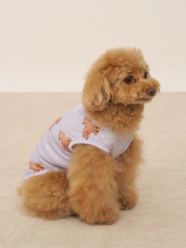 gelato pique（ジェラートピケ）【CAT&DOG】【販路限定商品】【接触冷感】サマープードル柄プルオーバー｜全3色