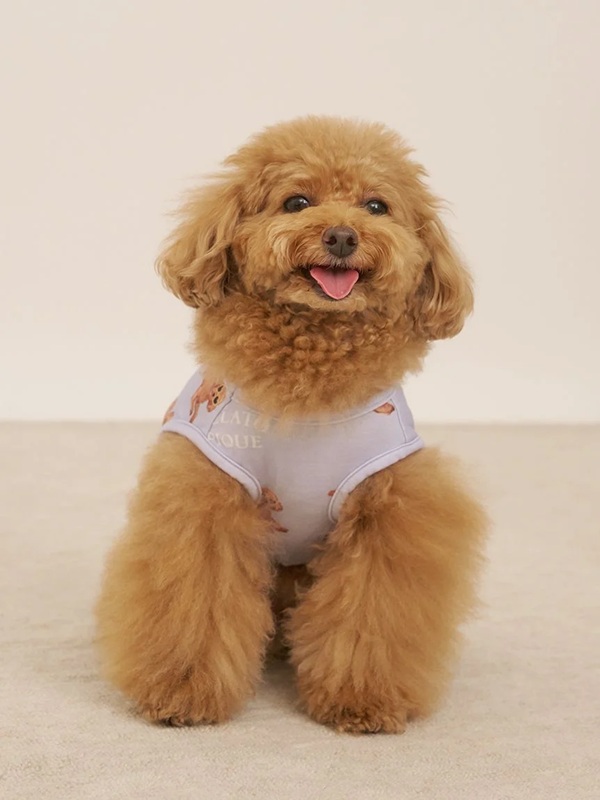 gelato pique（ジェラートピケ）【CAT&DOG】【販路限定商品】【接触冷感】サマープードル柄プルオーバー｜全3色