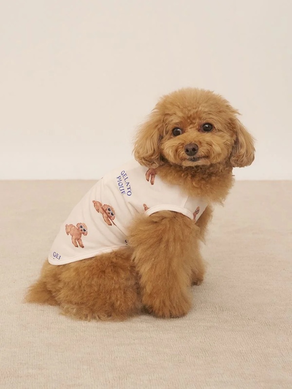 gelato pique（ジェラートピケ）【CAT&DOG】【販路限定商品】【接触冷感】サマープードル柄プルオーバー｜全3色