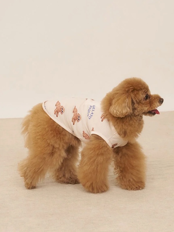 gelato pique（ジェラートピケ）【CAT&DOG】【販路限定商品】【接触冷感】サマープードル柄プルオーバー｜全3色