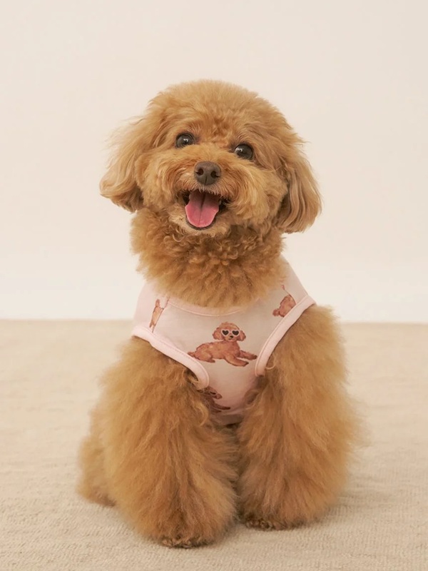 gelato pique（ジェラートピケ）【CAT&DOG】【販路限定商品】【接触冷感】サマープードル柄プルオーバー｜全3色