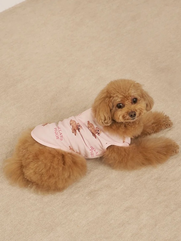 gelato pique（ジェラートピケ）【CAT&DOG】【販路限定商品】【接触冷感】サマープードル柄プルオーバー｜全3色
