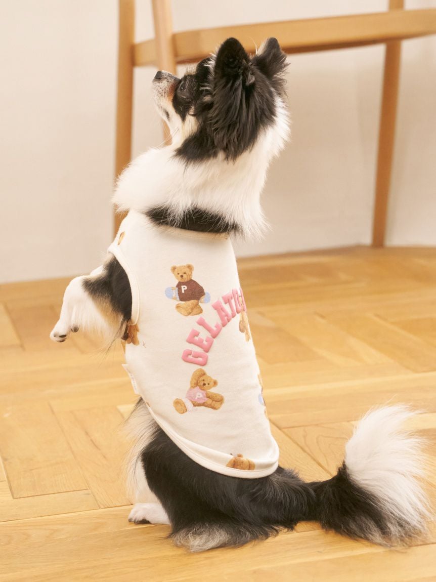 gelato pique（ジェラートピケ）【CAT&DOG】【販路限定商品】スポーティーベア柄カットソープルオーバー｜全2色