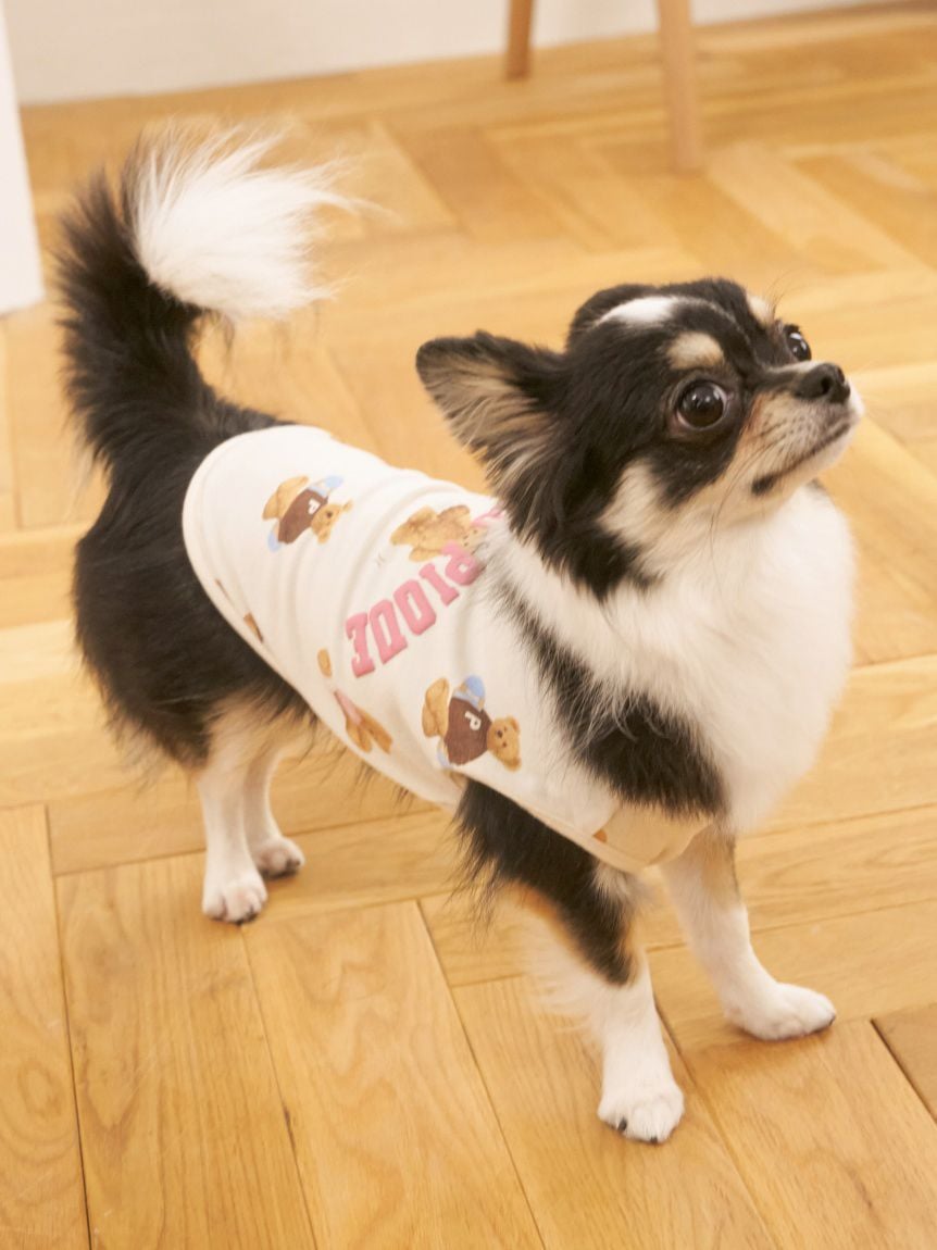 gelato pique（ジェラートピケ）【CAT&DOG】【販路限定商品】スポーティーベア柄カットソープルオーバー｜全2色