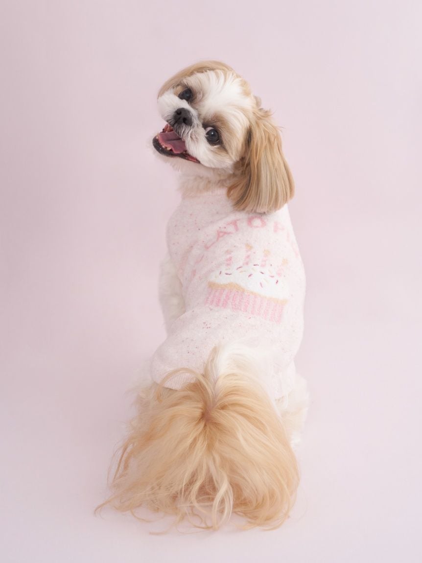 gelato pique（ジェラートピケ）【CAT&DOG】【販路限定商品】スムーズィーカップケーキジャガードプルオーバー｜全3色