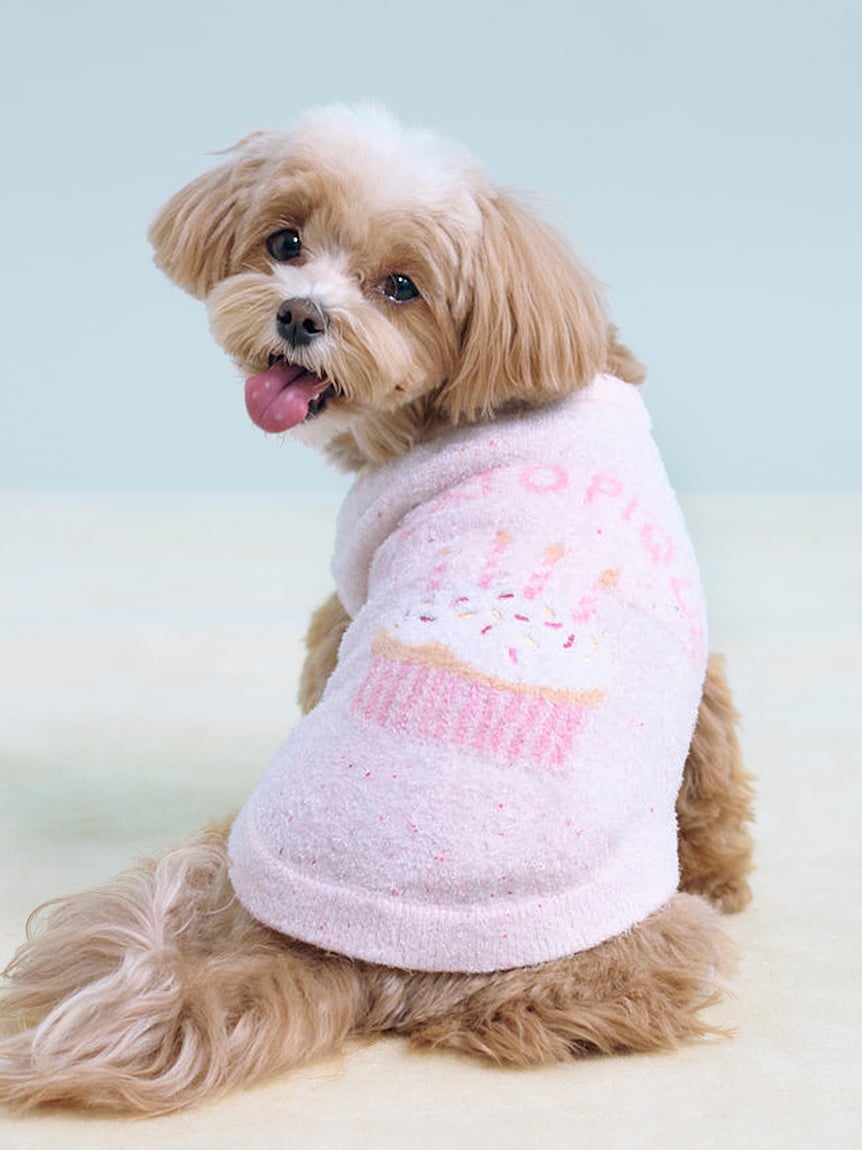 gelato pique（ジェラートピケ）【CAT&DOG】【販路限定商品】スムーズィーカップケーキジャガードプルオーバー｜全3色