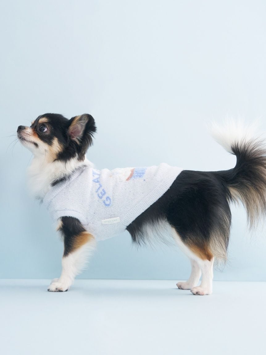 gelato pique（ジェラートピケ）【CAT&DOG】【販路限定商品】スムーズィーカップケーキジャガードプルオーバー｜全3色