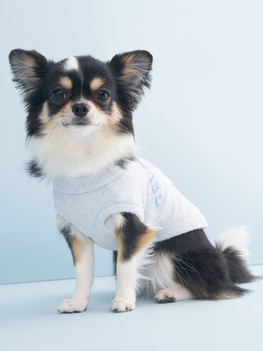 gelato pique（ジェラートピケ）【CAT&DOG】【販路限定商品】スムーズィーカップケーキジャガードプルオーバー｜全3色