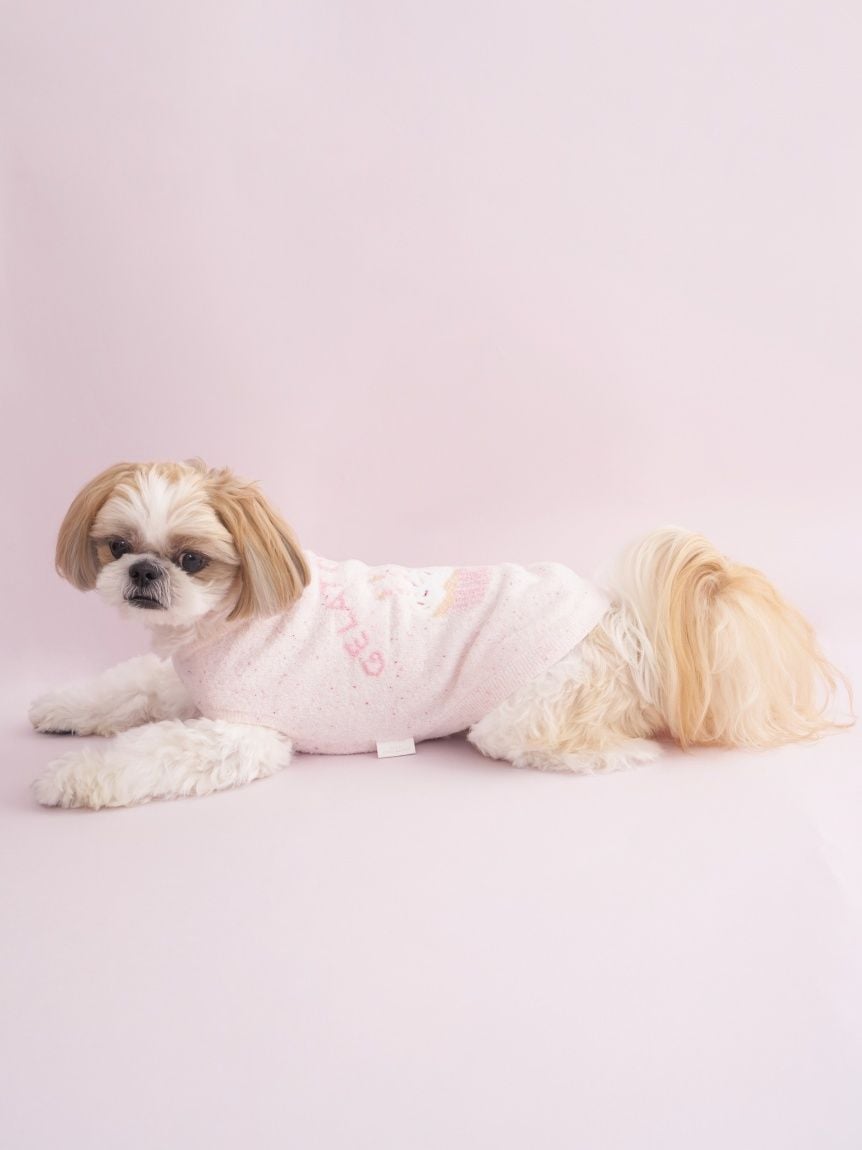 gelato pique（ジェラートピケ）【CAT&DOG】【販路限定商品】スムーズィーカップケーキジャガードプルオーバー｜全3色