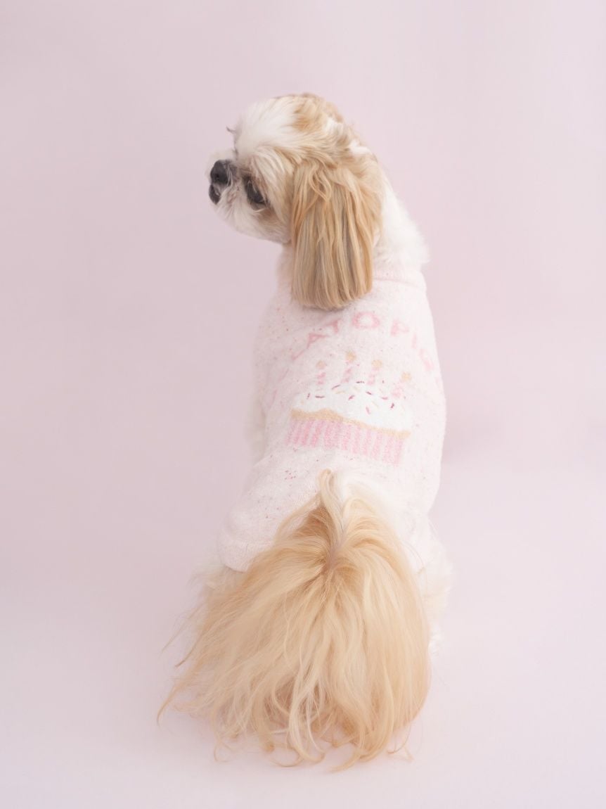 gelato pique（ジェラートピケ）【CAT&DOG】【販路限定商品】スムーズィーカップケーキジャガードプルオーバー｜全3色