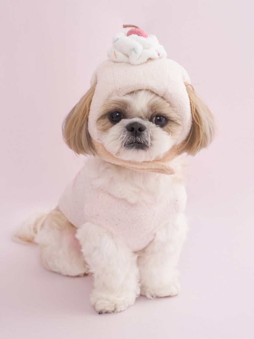 gelato pique（ジェラートピケ）【CAT&DOG】【販路限定商品】スムーズィーカップケーキジャガードプルオーバー｜全3色