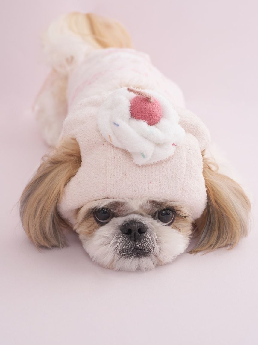 gelato pique（ジェラートピケ）【CAT&DOG】【販路限定商品】スムーズィーカップケーキジャガードプルオーバー｜全3色