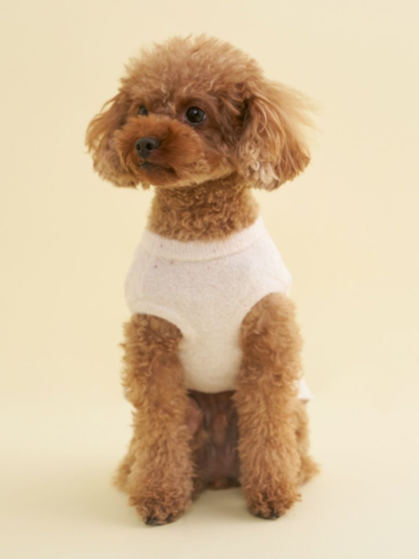 gelato pique（ジェラートピケ）【CAT&DOG】【販路限定商品】スムーズィーカップケーキジャガードプルオーバー｜全3色