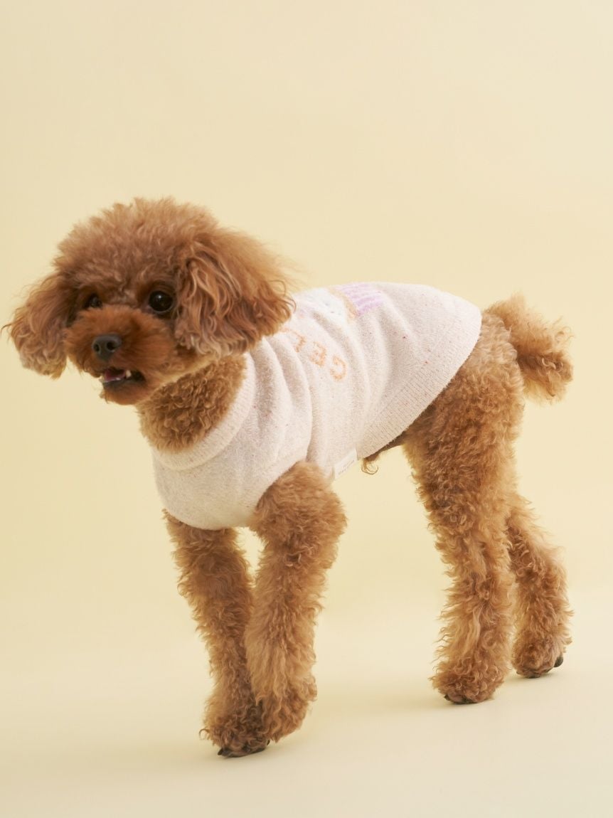 gelato pique（ジェラートピケ）【CAT&DOG】【販路限定商品】スムーズィーカップケーキジャガードプルオーバー｜全3色