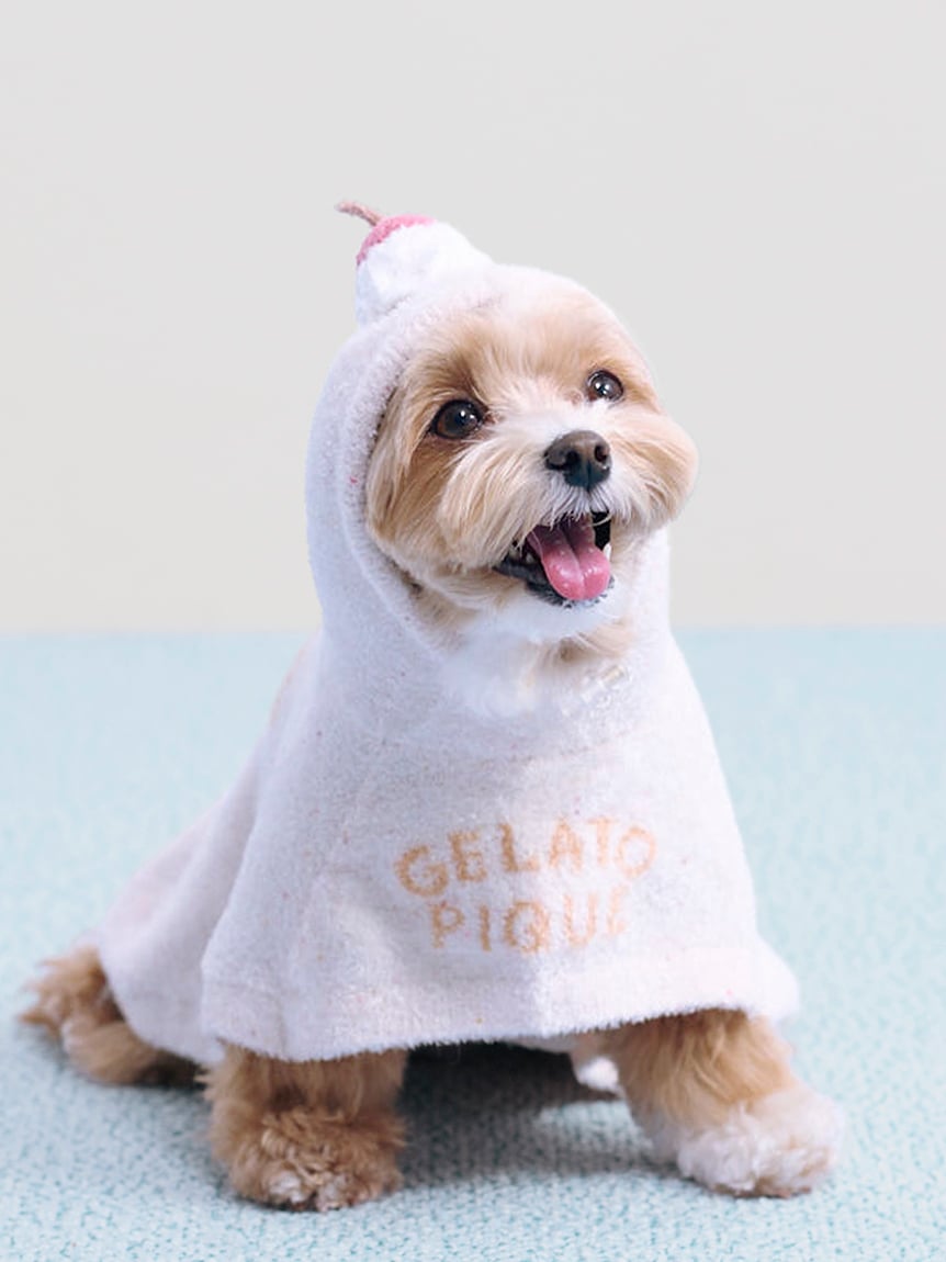 gelato pique（ジェラートピケ）【CAT&DOG】【販路限定商品】【BIRTHDAY】スムーズィーケープ｜全3色