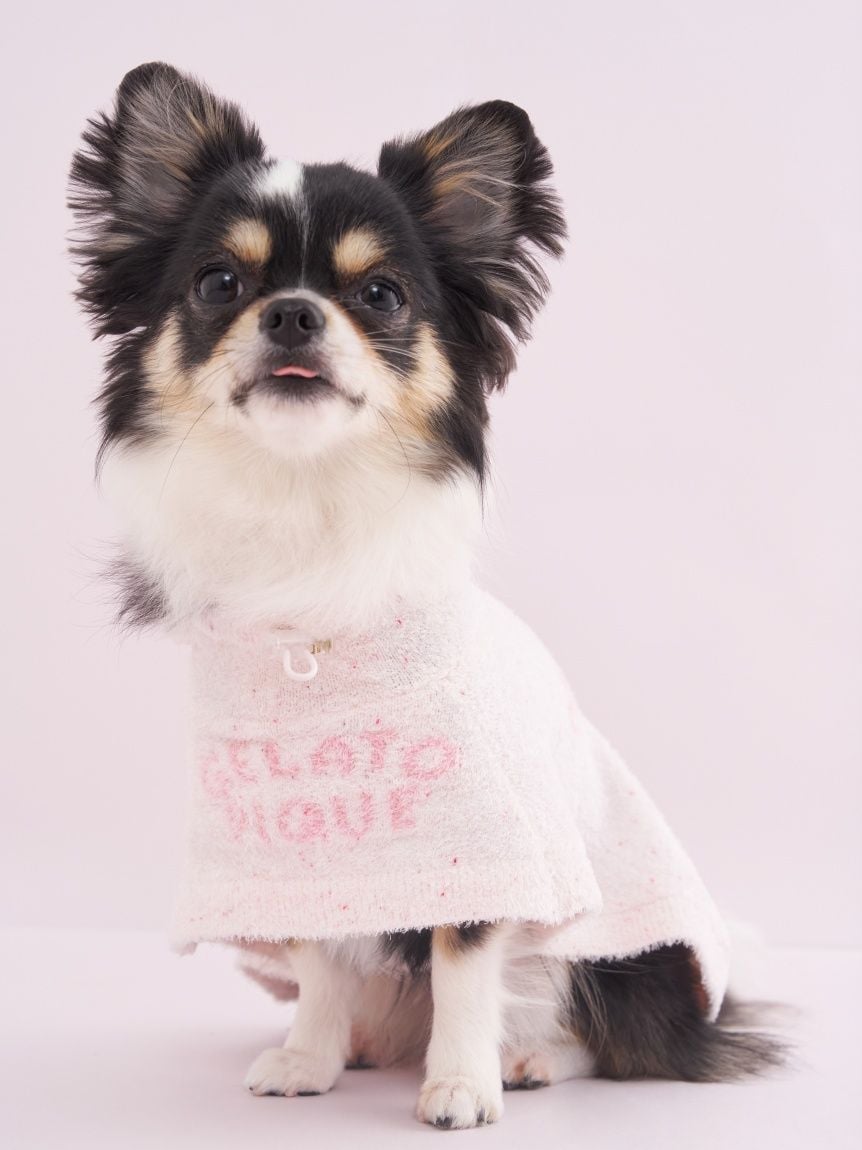 gelato pique（ジェラートピケ）【CAT&DOG】【販路限定商品】【BIRTHDAY】スムーズィーケープ｜全3色