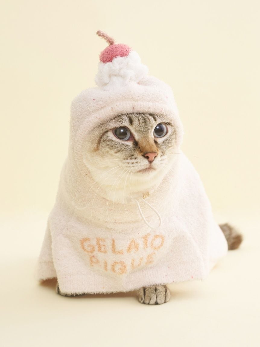 gelato pique（ジェラートピケ）【CAT&DOG】【販路限定商品】【BIRTHDAY】スムーズィーケープ｜全3色