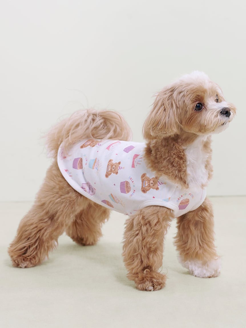 gelato pique（ジェラートピケ）【CAT&DOG】【販路限定商品】【BIRTHDAY】バースデー柄プルオーバー