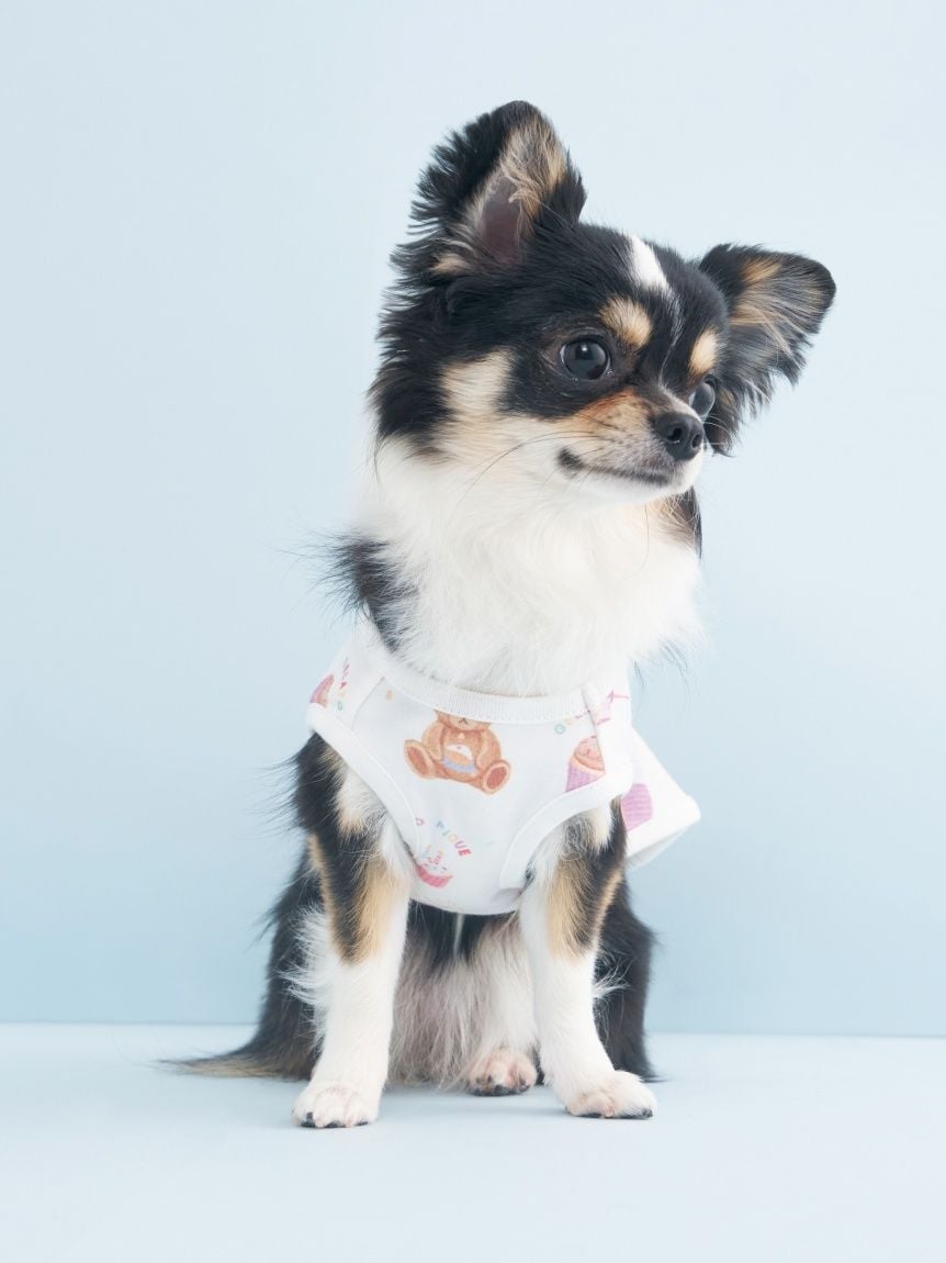 gelato pique（ジェラートピケ）【CAT&DOG】【販路限定商品】【BIRTHDAY】バースデー柄プルオーバー