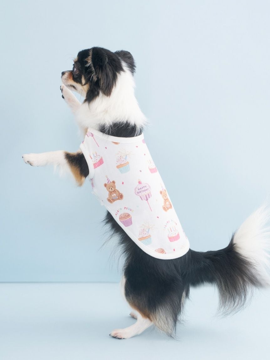 gelato pique（ジェラートピケ）【CAT&DOG】【販路限定商品】【BIRTHDAY】バースデー柄プルオーバー