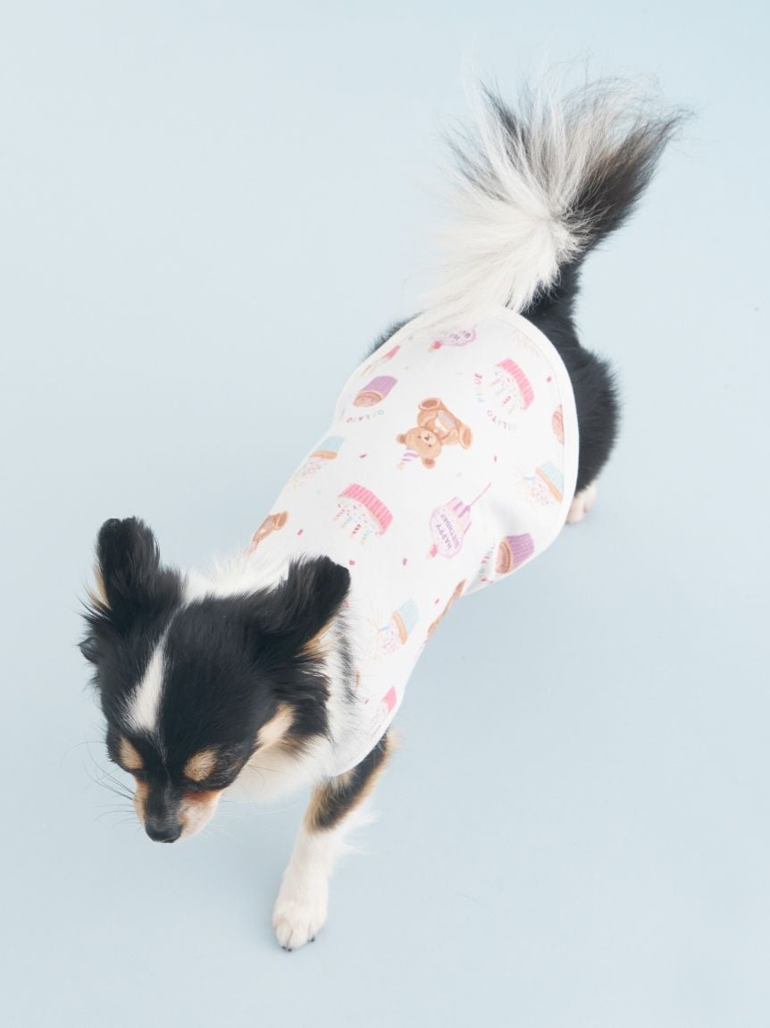 gelato pique（ジェラートピケ）【CAT&DOG】【販路限定商品】【BIRTHDAY】バースデー柄プルオーバー