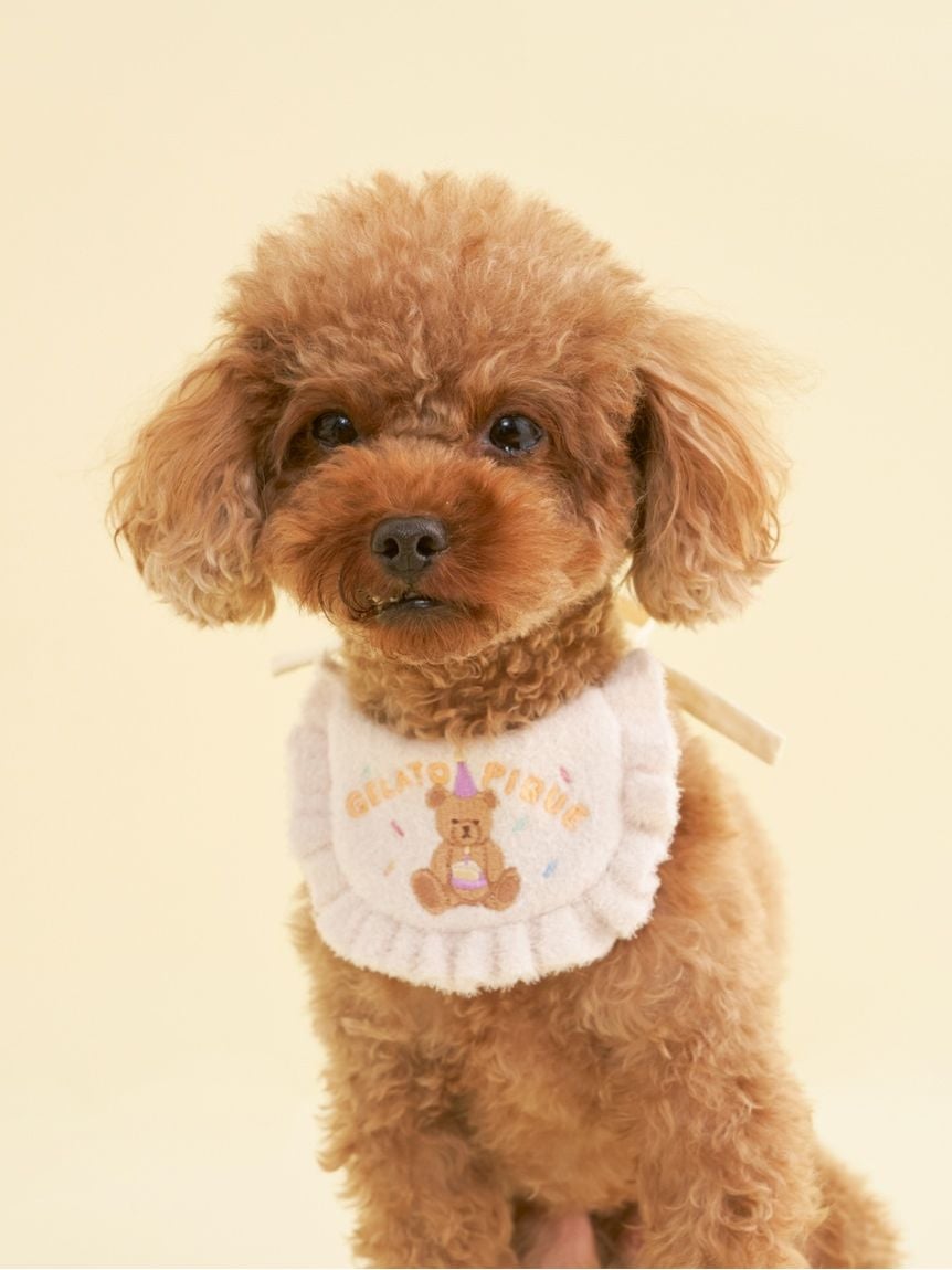 gelato pique（ジェラートピケ）【CAT&DOG】【販路限定商品】【BIRTHDAY】スムーズィーバースデースタイ｜全2色