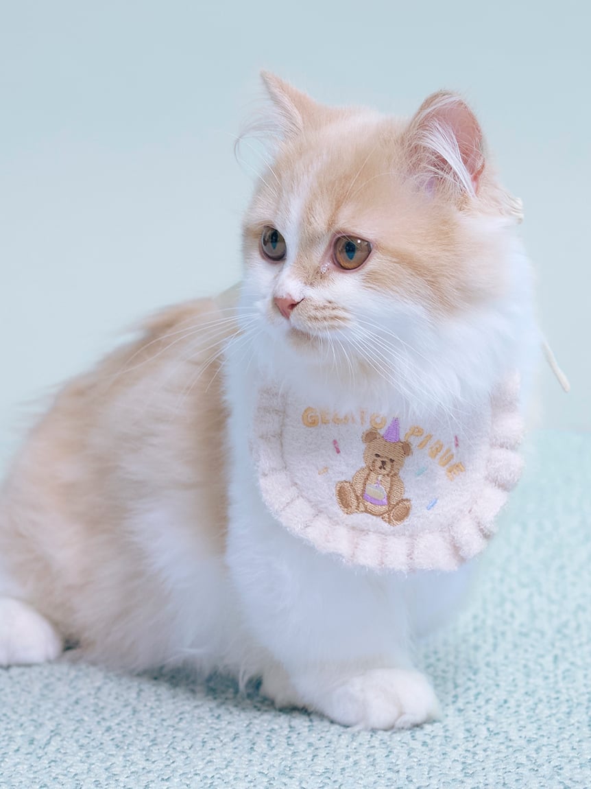 gelato pique（ジェラートピケ）【CAT&DOG】【販路限定商品】【BIRTHDAY】スムーズィーバースデースタイ｜全2色