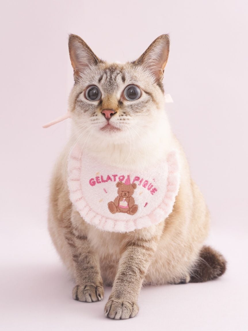 gelato pique（ジェラートピケ）【CAT&DOG】【販路限定商品】【BIRTHDAY】スムーズィーバースデースタイ｜全2色