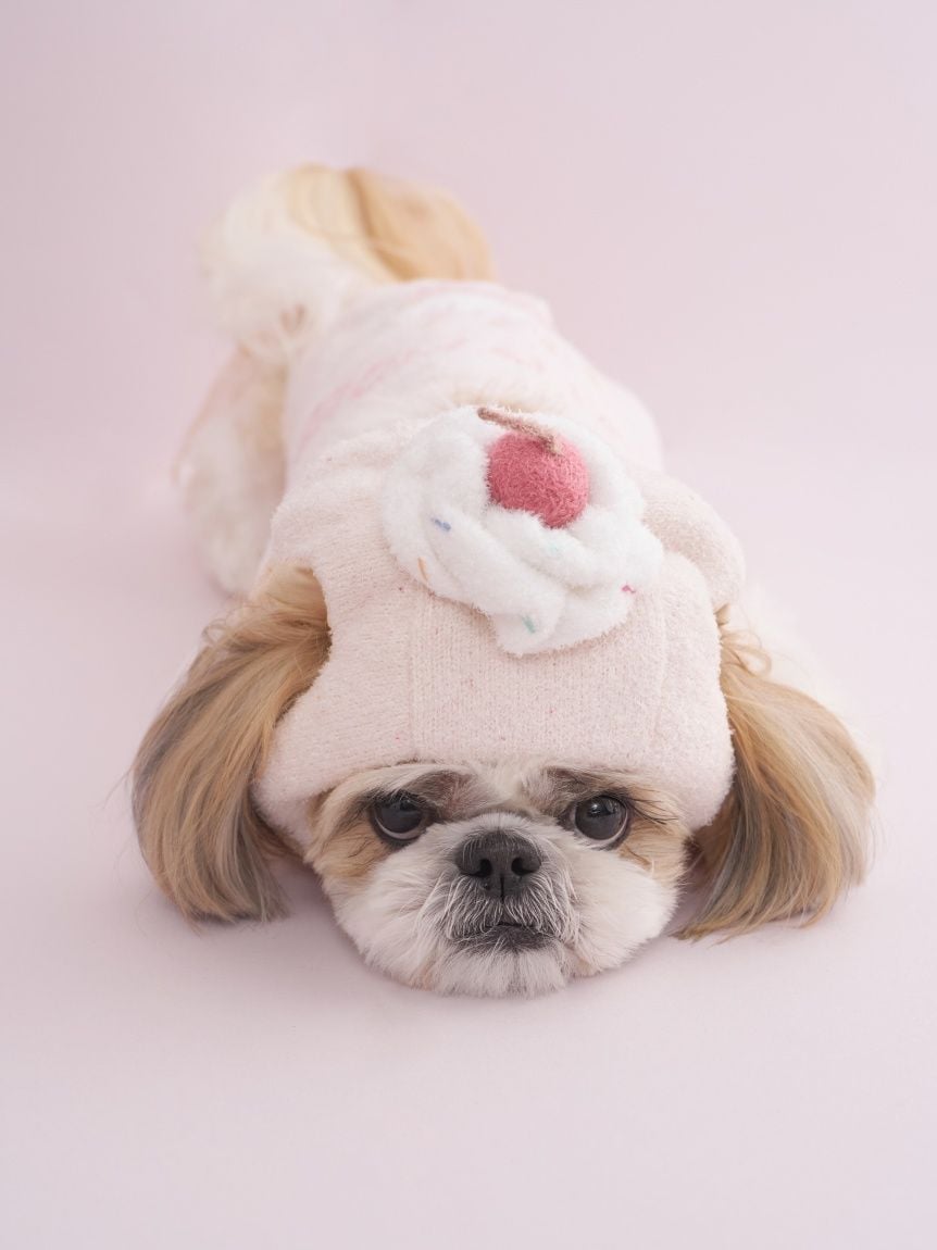gelato pique（ジェラートピケ）【CAT&DOG】【販路限定商品】【BIRTHDAY】カップケーキハット