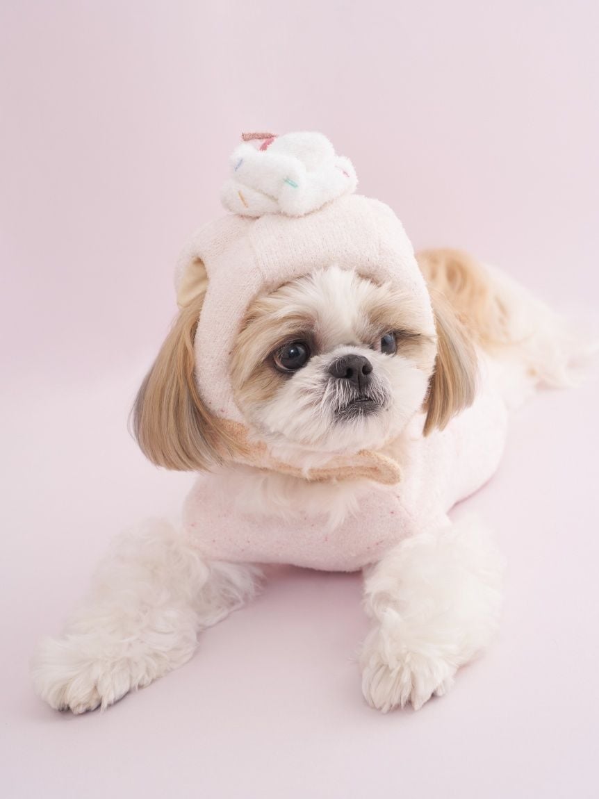 gelato pique（ジェラートピケ）【CAT&DOG】【販路限定商品】【BIRTHDAY】カップケーキハット