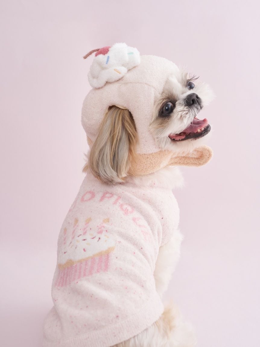gelato pique（ジェラートピケ）【CAT&DOG】【販路限定商品】【BIRTHDAY】カップケーキハット