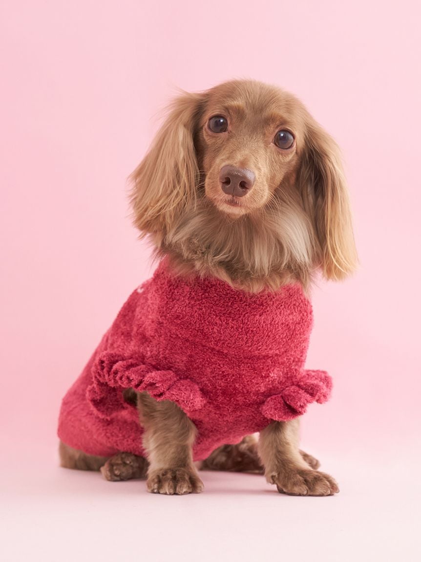 gelato pique（ジェラートピケ）【CAT&DOG】【販路限定商品】オータムケーキジャガードプルオーバー｜全3色