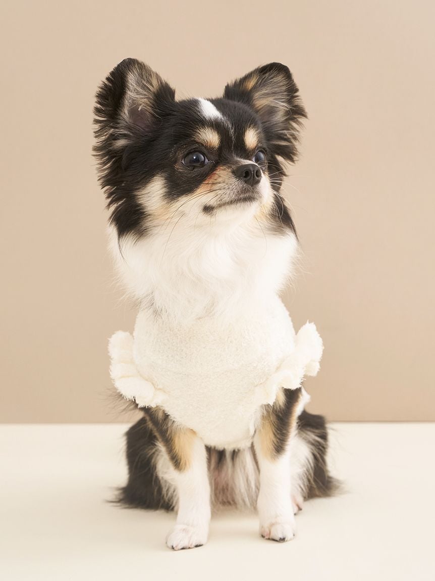 gelato pique（ジェラートピケ）【CAT&DOG】【販路限定商品】オータムケーキジャガードプルオーバー｜全3色