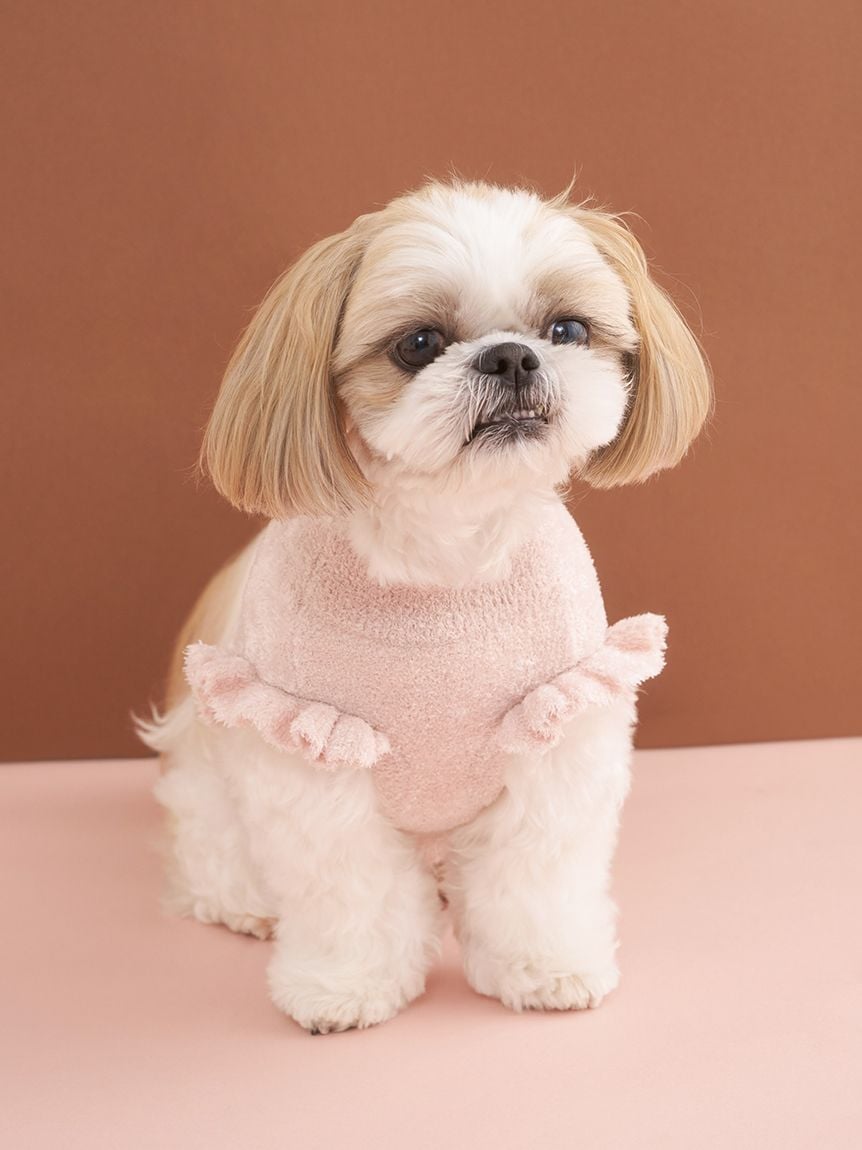 gelato pique（ジェラートピケ）【CAT&DOG】【販路限定商品】オータムケーキジャガードプルオーバー｜全3色