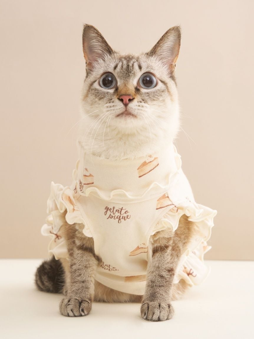 gelato pique（ジェラートピケ）【CAT&DOG】【販路限定商品】オータムケーキ柄プルオーバー｜全3色