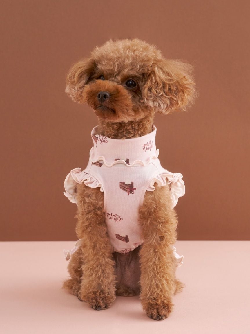 gelato pique（ジェラートピケ）【CAT&DOG】【販路限定商品】オータムケーキ柄プルオーバー｜全3色