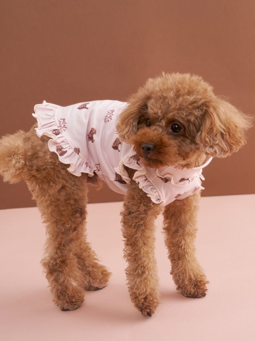 gelato pique（ジェラートピケ）【CAT&DOG】【販路限定商品】オータムケーキ柄プルオーバー｜全3色
