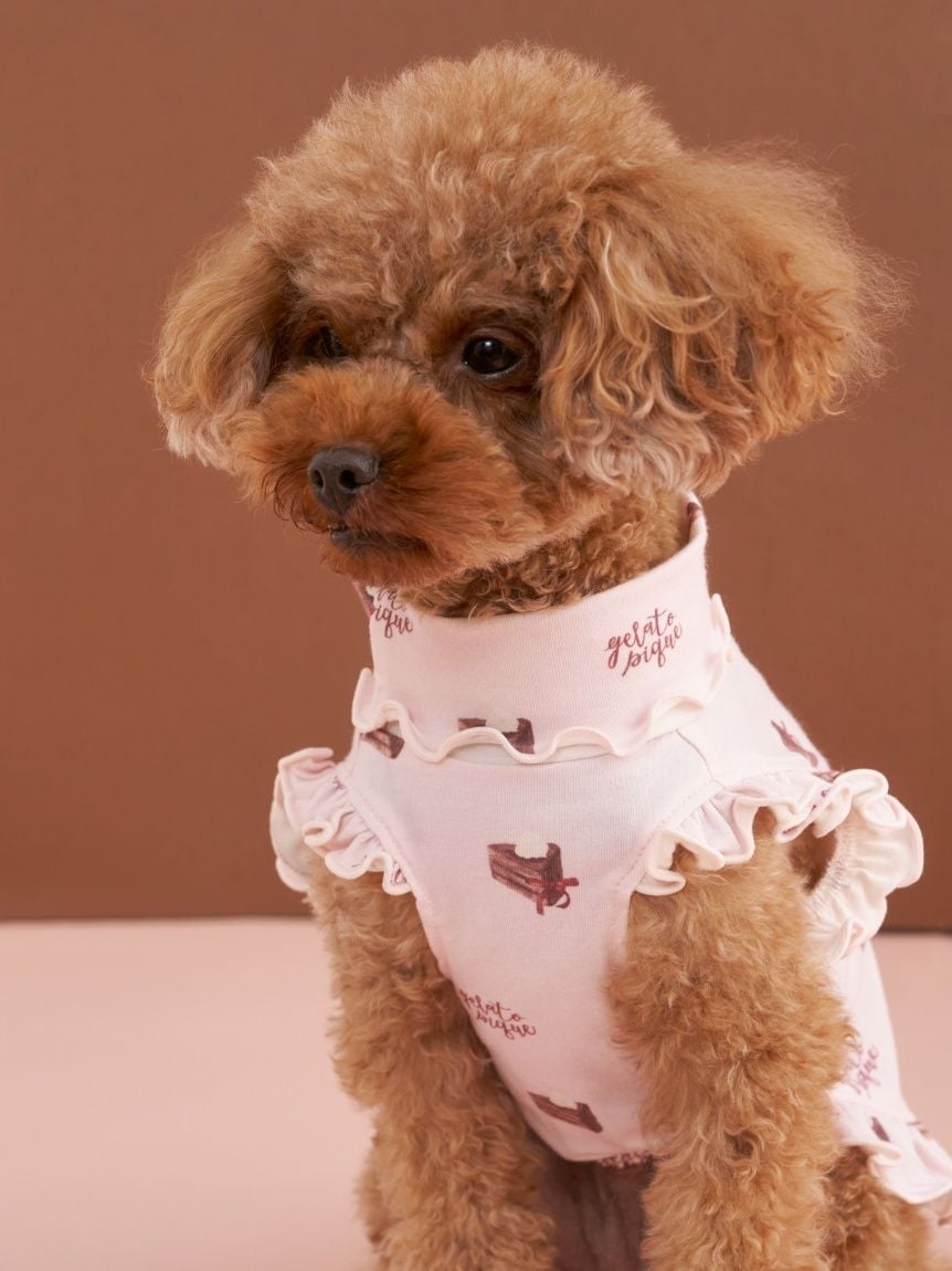 gelato pique（ジェラートピケ）【CAT&DOG】【販路限定商品】オータムケーキ柄プルオーバー｜全3色
